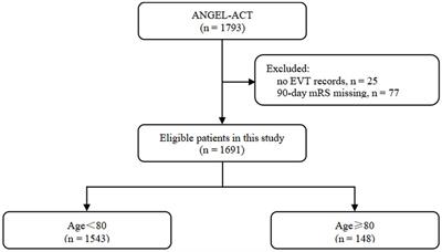 Current status of endovascular treatment for older adults with acute large vessel occlusion stroke in China: subgroup analysis of ANGEL act registry